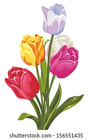 Beautiful bouquet of tulips on a white background