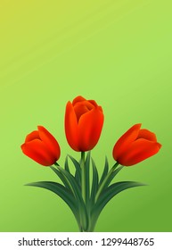 Beautiful bouquet of  tulips.8 March. Mother's day.Women's Day greeting card with tulip flowers on green background