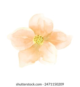 Beautiful bouquet of watercolor flowers and leaves. Watercolor floral element.