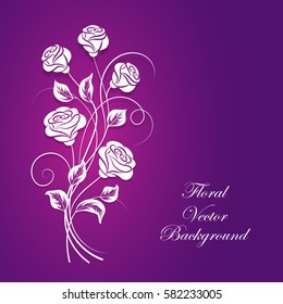 Beautiful bouquet of white roses on violet background.