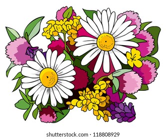 Beautiful bouquet of wild flowers, chamomiles and clovers, vector illustration