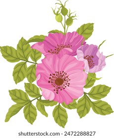 beautiful bouquet of wild roses, pink wild roses