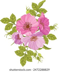 beautiful bouquet of wild roses, pink wild roses