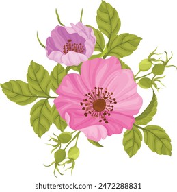 beautiful bouquet of wild roses, pink wild roses