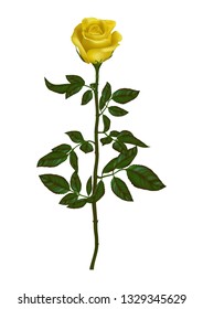 beautiful bouquet with 
Yellow roses and leaves. Floral arrangement.design greeting card and invitation of the wedding, birthday,Valentine's Day, mother's day and other holiday.
