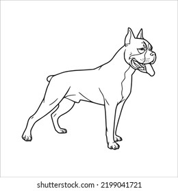 beautiful Boxer Dog line art images,outline drawing,vector art and Boxer Dog illustrations art
