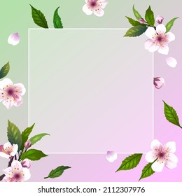 bella rama con flores de cerezo
