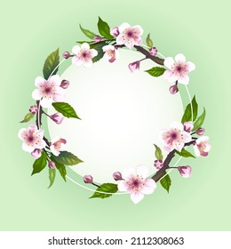 beautiful branch with cherry blossoms