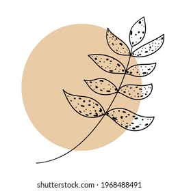 Beautiful branch. Floral background. Vector illustration.