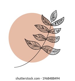 Beautiful branch. Floral background. Vector illustration.