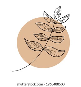 Beautiful branch. Floral background. Vector illustration.