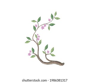 beautiful branch and flower isolated, design element vector