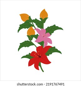 Beautiful branch, flowers, leaves vector in illustration graphic design 