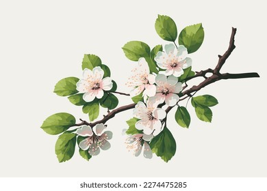 beautiful Branch of the Sakura tree with flowers, illustration