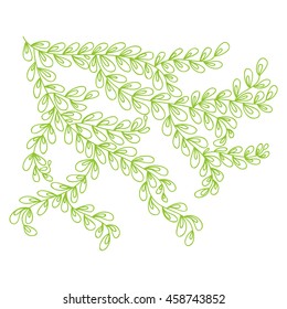 Beautiful branch. Vector illustration.