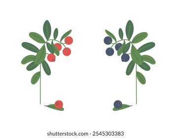 Hermosas ramas con arándanos y bayas de arándano aisladas sobre fondo blanco. Dibujado a mano Vector plano doodle ilustración. Concepto de plantas forestales, té, vitaminas, recolección