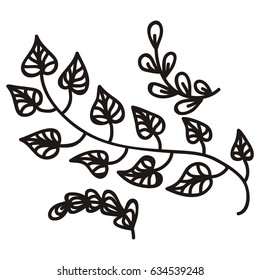 Beautiful branches. Vector illustration.