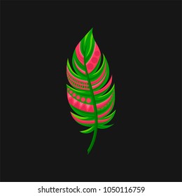 Beautiful bright abstract pink and green feather vector Illustration on a black background