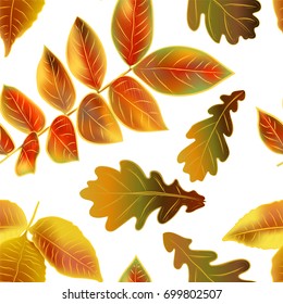 Beautiful bright autumn leaves on white background, vector seamless pattern