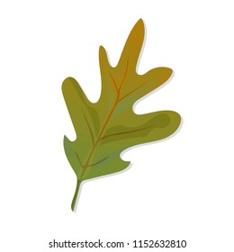 Beautiful bright autumn oak leaf. Great for background, card, banner, icon template. Vector illustration.