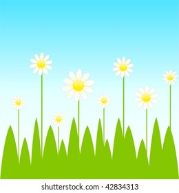  beautiful bright background with funny camomiles