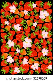 Beautiful bright background from tropical berries