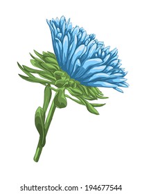 beautiful bright blue aster with watercolor effect isolated on white background