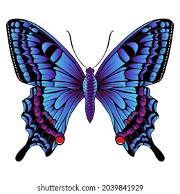 Hermosa mariposa azul brillante. Ilustración vectorial aislada en fondo blanco.