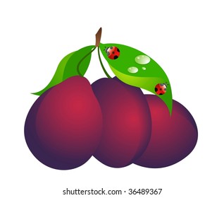 Beautiful bright card with the image of plum