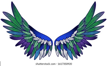 Beautiful bright colorful blue green violet white parrot exotic wings, vector