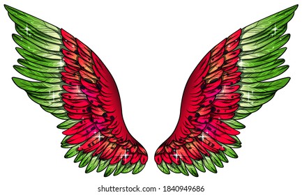 Beautiful bright colorful magic wings colored as watermelon slice, vector