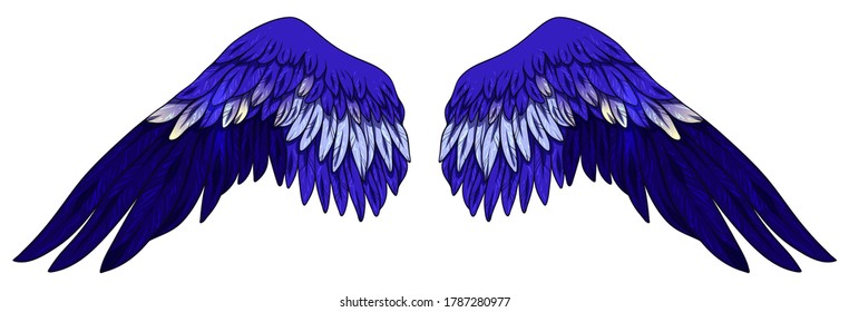 Beautiful bright electric blue vector wings