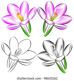 beautiful bright flowers