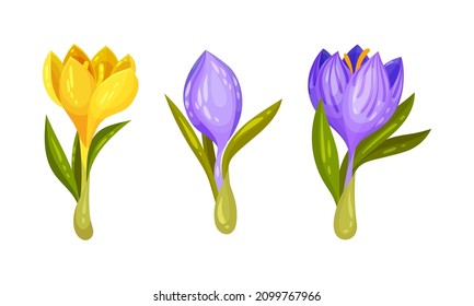 Bonito conjunto de cruces frescos y luminosos. Primera primavera flores moradas y amarillas dibujos animados ilustraciones vectoriales