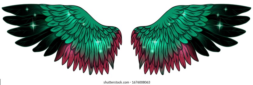 Beautiful bright glowing glittery green black red wings, vector