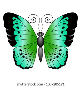 Beautiful bright green butterfly. Vector illustration isolated on white background.