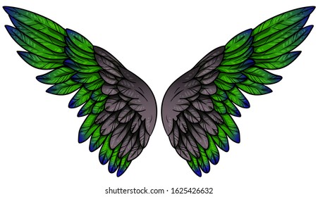 Beautiful bright green grey wings of some tropisal bird, hand drawn vector