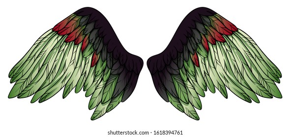 Beautiful bright green red parrot wings, hand drawn vector