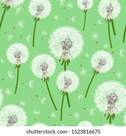 Beautiful bright green seamless pattern with realistic dandelions blowing. Elegant floral background with summer or spring flowers. Stylish trendy nature wallpaper. Graphic design. Vector illustration