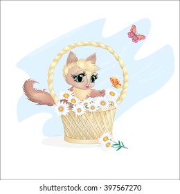 beautiful bright kitten in a basket, on a white background