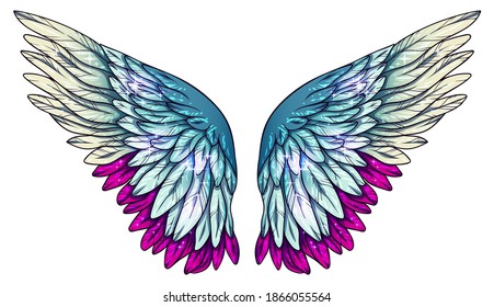 Beautiful bright magic wings, vector