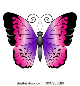 Beautiful bright pink butterfly. Vector illustration isolated on white background.