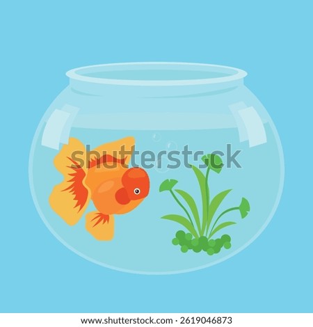 Beautiful bright small goldfish in round glass aquarium. Goldfish in a tank.