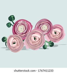 
Hermosa ilustración vectorial de flores de verano brillantes, Ranunculus, ramo de flores rosadas para ilustraciones, libros, tarjetas, pegatinas, publicidad, invitaciones de boda