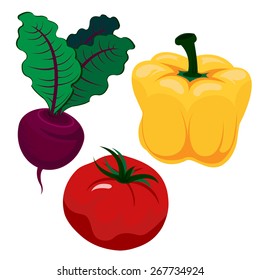 Beautiful and bright vegetables in vector. Paper, tomato and beet