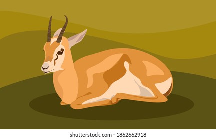 beautiful bright young gazelle lies on a green background