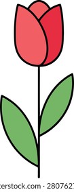 A Beautiful Brightly Colored Single Blooming Tulip With Green Leaves Standing Alone on a Clean White Background in Minimal Style