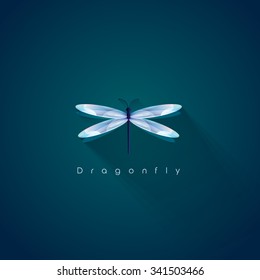 Beautiful brightly illuminated dragonfly vector design element