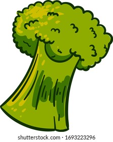 Hermoso brócoli, ilustración, vector sobre fondo blanco