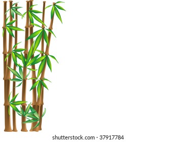 Beautiful brown bamboo- vector illustration